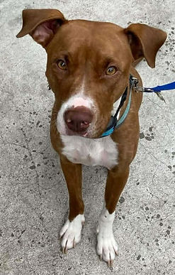 Image by Courtney Cook