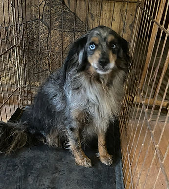 Image by Courtney Cook