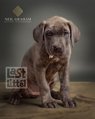 Image by Courtney Cook