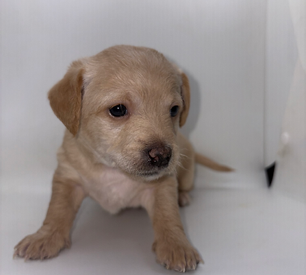 Image by Courtney Cook