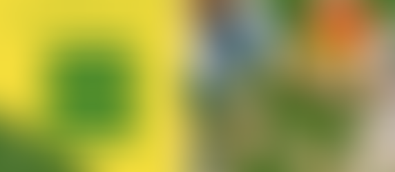 A Simple Parent Guide To The Best Preschool in Portland