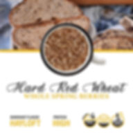 Hard Red Wheat Berries from Organic Farmers