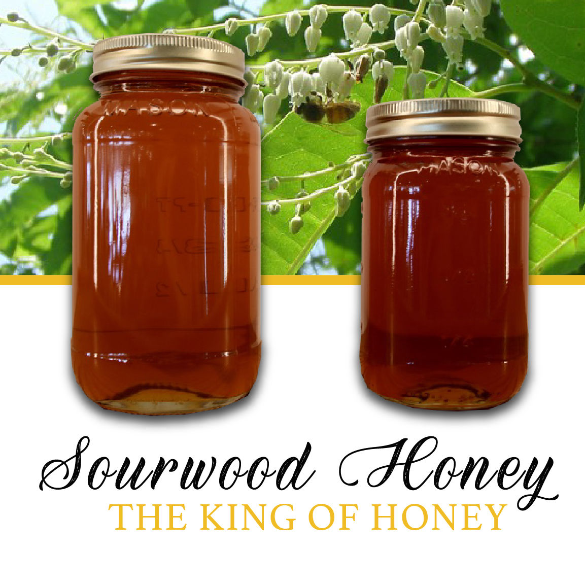 Sourwood Honey