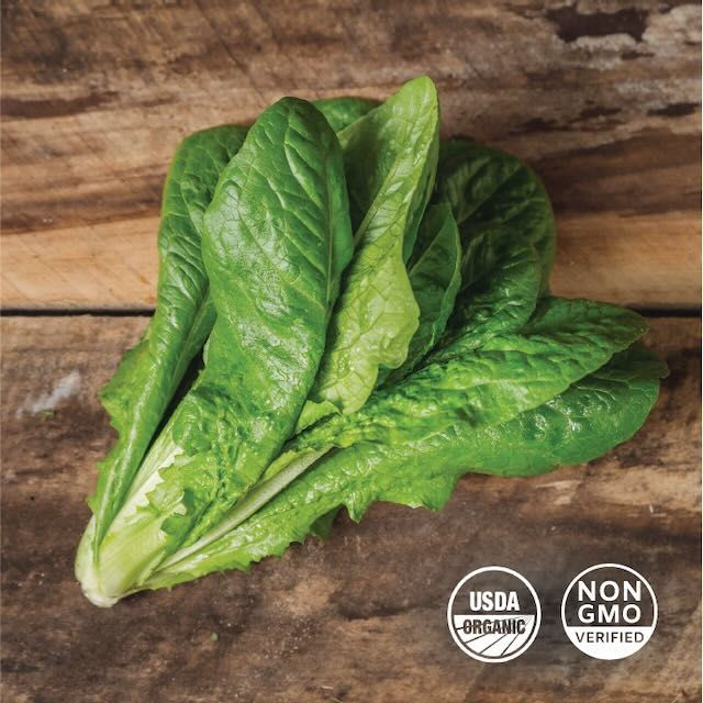Lettuce Head