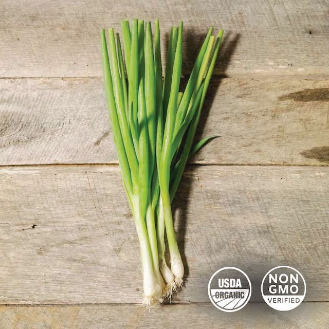 Scallion Onions