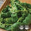 Thumbnail: Spinach Bunch
