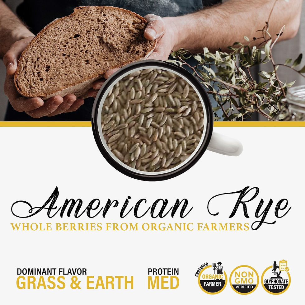 Rye Berries from Organic Farmers