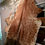 Thumbnail: Cracker Cattle Premium Hide
