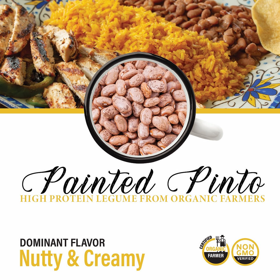 Pinto Beans (Painted)