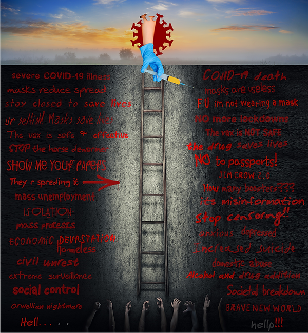 the wall - Dec 2021.png