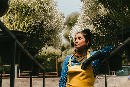 IMG_99999_1017 (Martina Orska's conflicted copy 2019-06-23).jpg