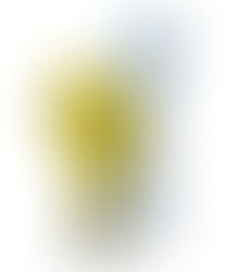 The Key: How Teams Can Stay Connected & Productive When Working Remotely