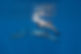 CMR_6695-2_edited.jpg