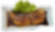 Salmon Teriyaki
