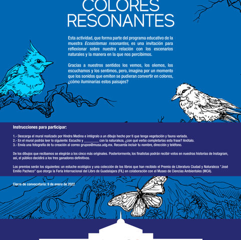 Colores resonantes