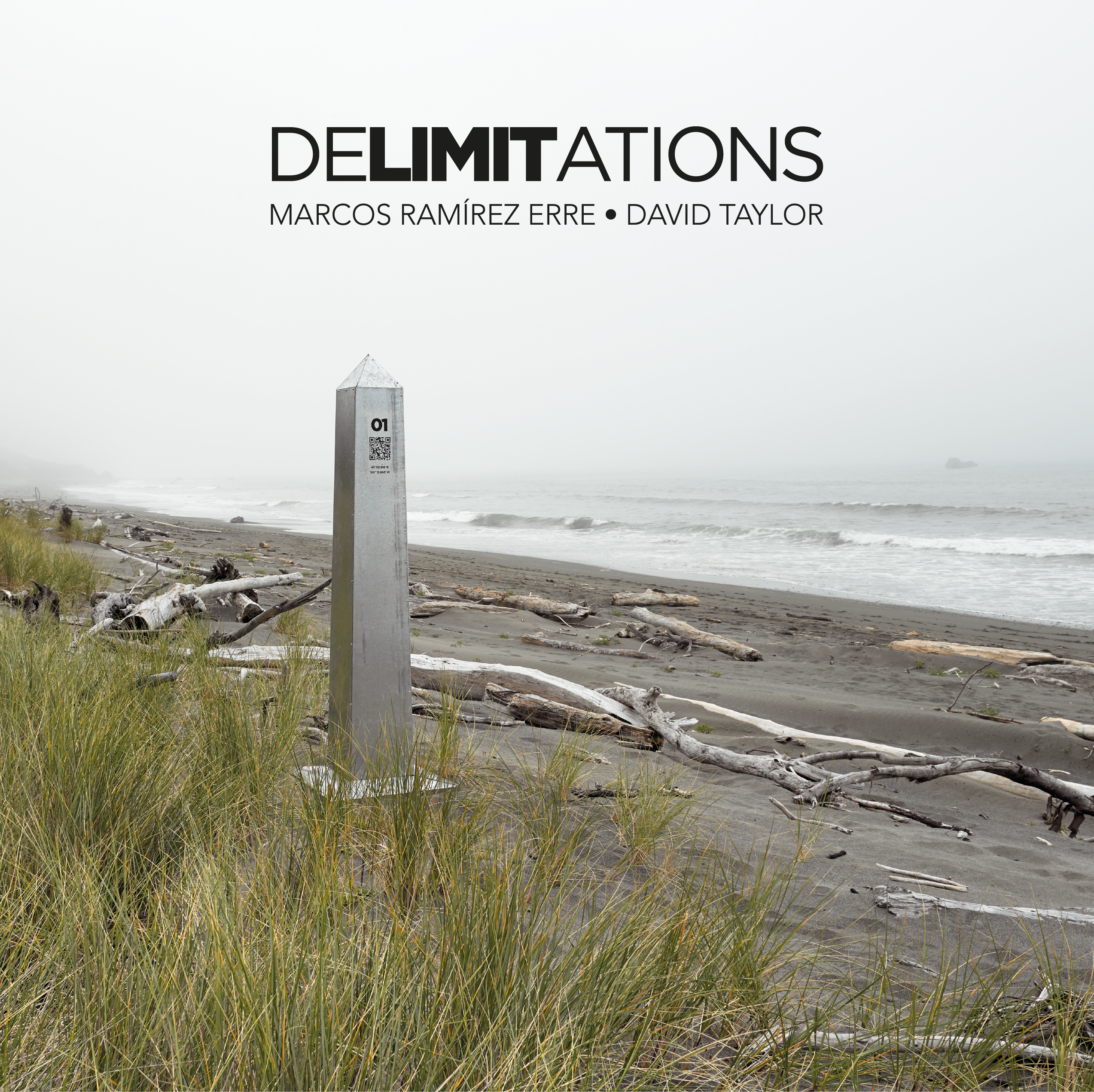 Delimitations