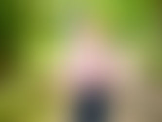 Wanderung rund um den Lemberg