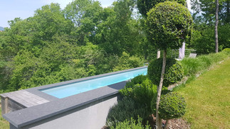 piscine jardin