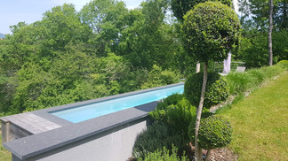piscine jardin