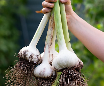 Screenshot 2025-10-18 at 17.22.39.png