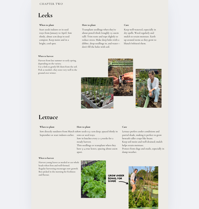 Thumbnail: A Guidebook For Beginner Kitchen Gardening (E-Book)