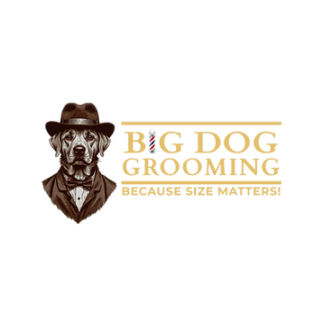 BDG - Transparent BG.png