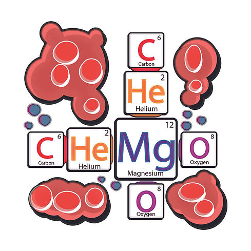 CHeMgO Back 88 mm.jpg