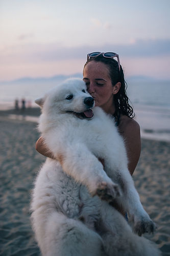 pexels-anna-tarazevich-8152019.jpg