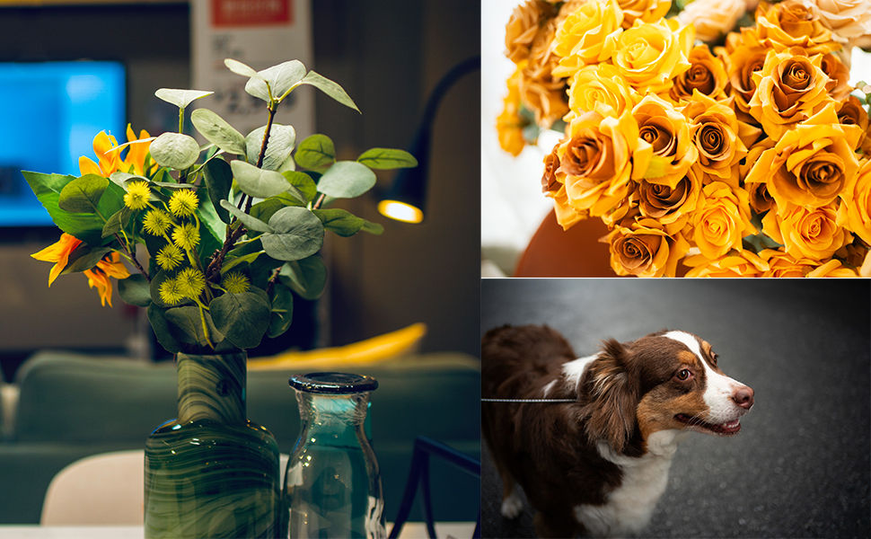 サムネイル： AstrHori アストロリ 35mm F1.8 ブラック 単焦点レンズ