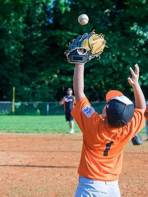 Fly Ball Catch 2