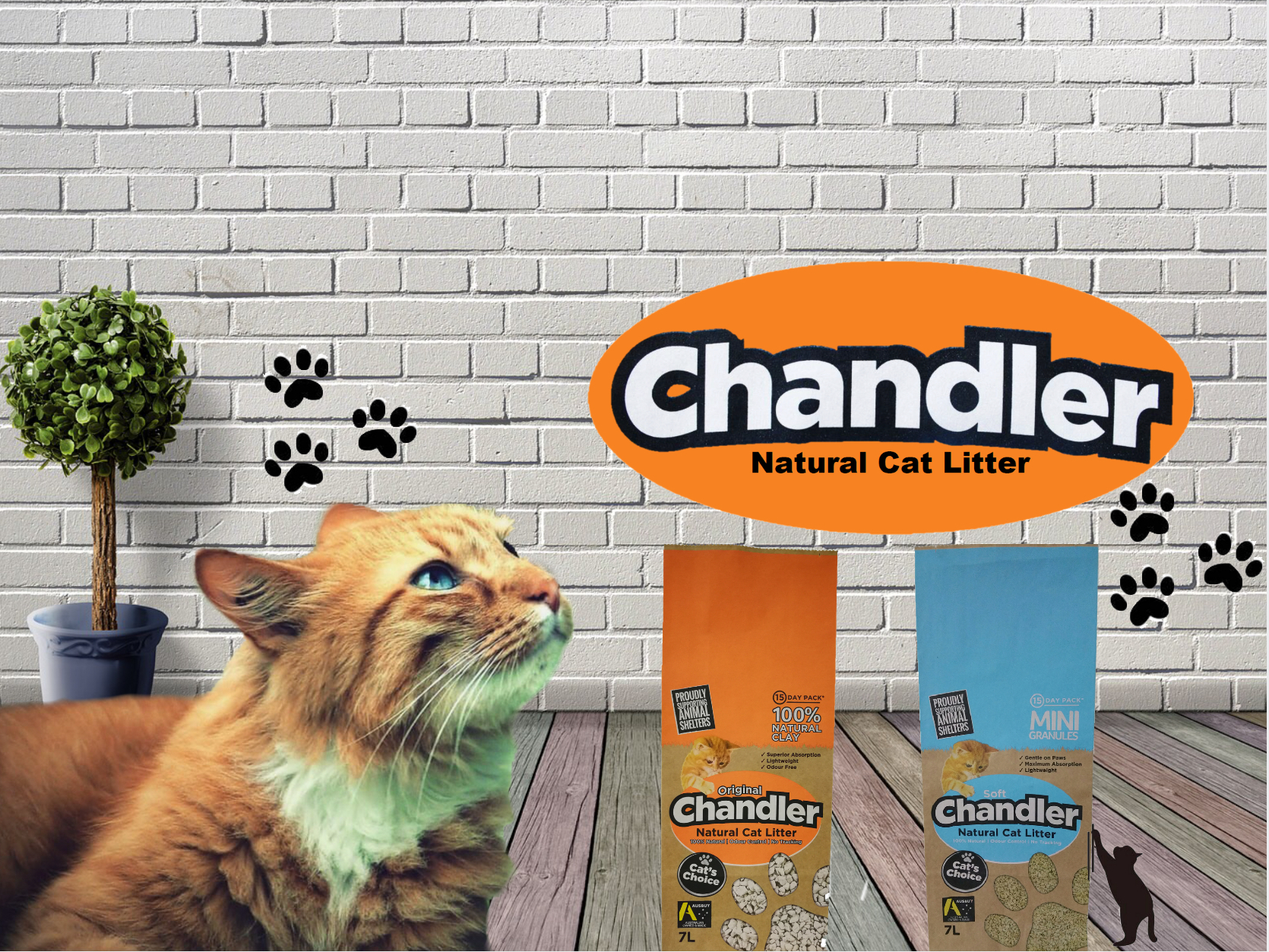 attapulgite clay cat litter