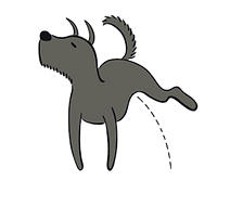 Eco Pawz CleanUp, Quick and simple cleanup, pet dog, indoor, outdoor, solution, synthetic grass