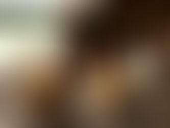 Chicken coop hygiene with safe, absorbent bedding like ChickenKoop™ CleanUp for odour control, moisture management, and pest prevention in Australian poultry farms