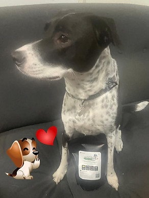 Eco Pawz CleanUp, Quick and simple cleanup, pet dog