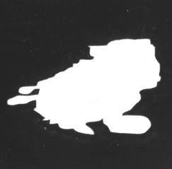 Scan 61.jpeg