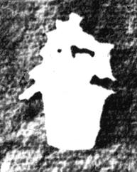 Scan 27.jpeg