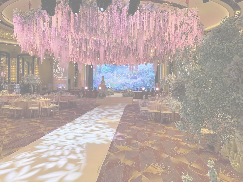 a81849a2-fab5-453c-8aed-4c78d4524a18 (2)_edited_edited.jpg