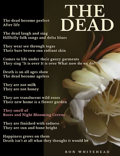 The Dead