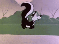 DIY removing a skunk from my yard