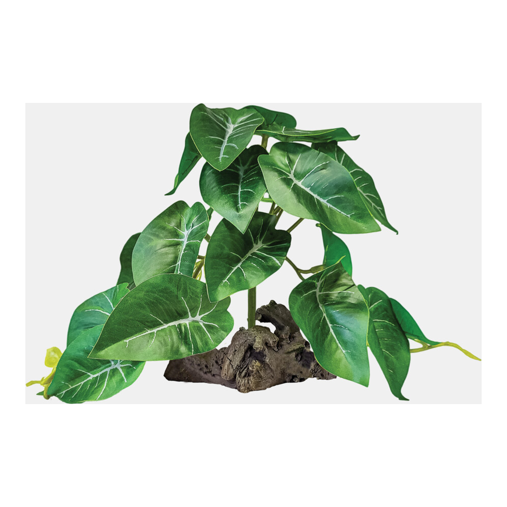 Repto Plant Sur Deco Elephant Verte