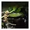 Miniature : Bol d'alimentation simple Habistat