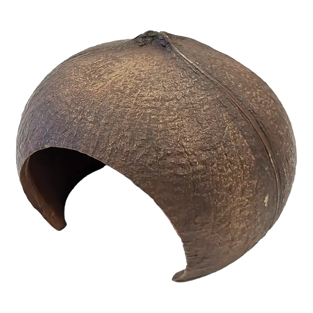 Repto Deco Coconut