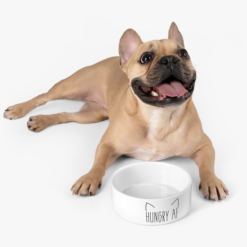 Thumbnail: Hungry AF White Ceramic Pet Bowl
