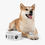 Thumbnail: Drink, White Ceramic Dog Pet Bowl
