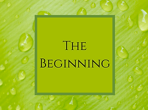 The Beginning.png