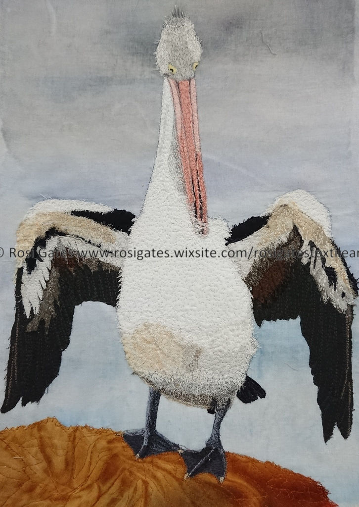 Pelican Preening - Rosi Gates