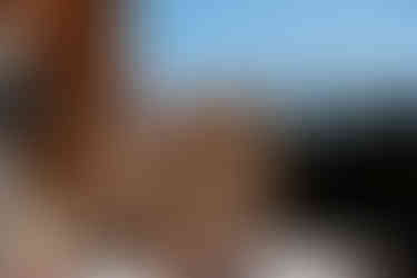 austrian hotel in the alps