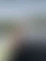 water lily on a mokoro ride in the Okavango delta botswana