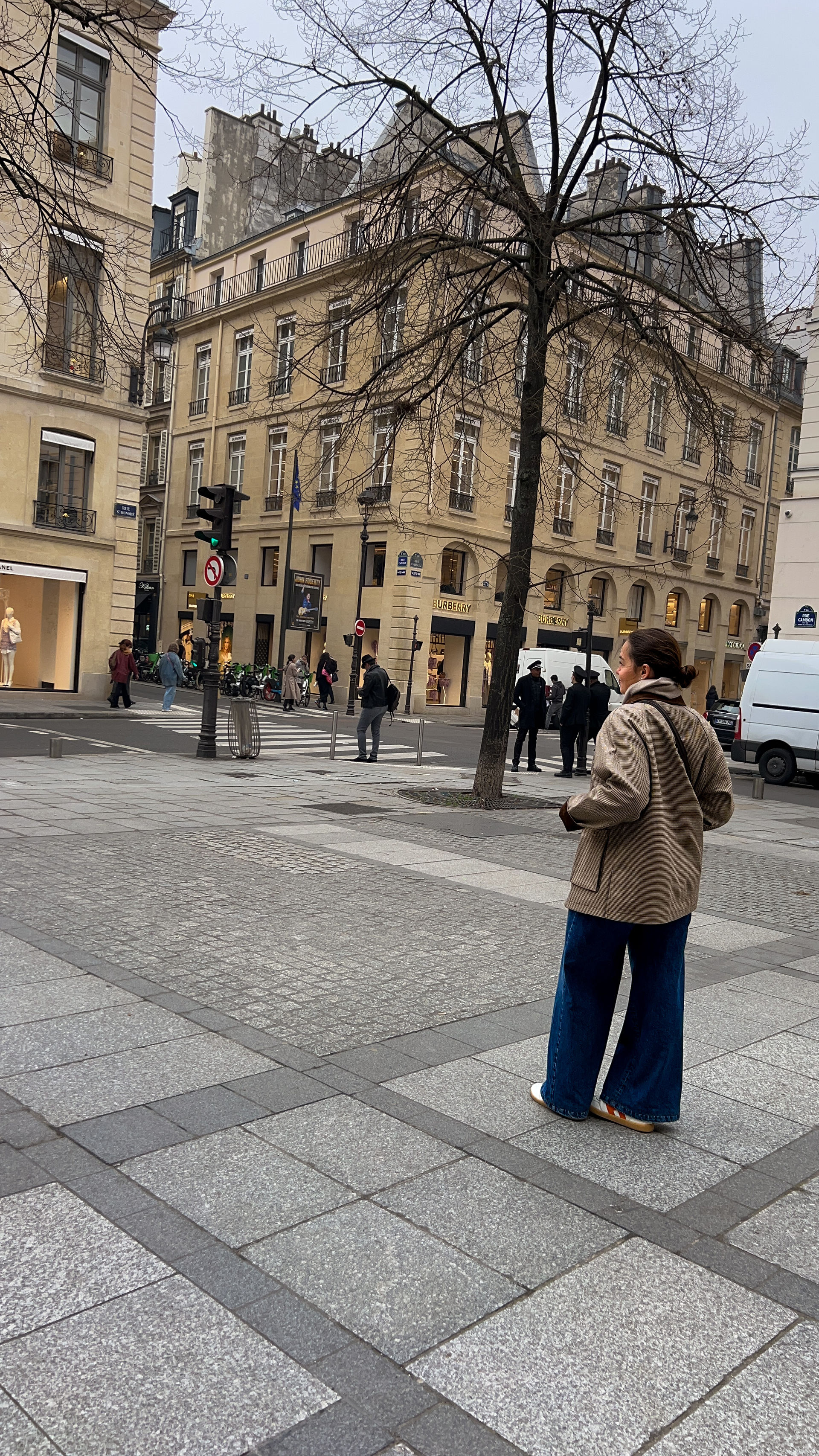 girl in Parisian streets in brown colors