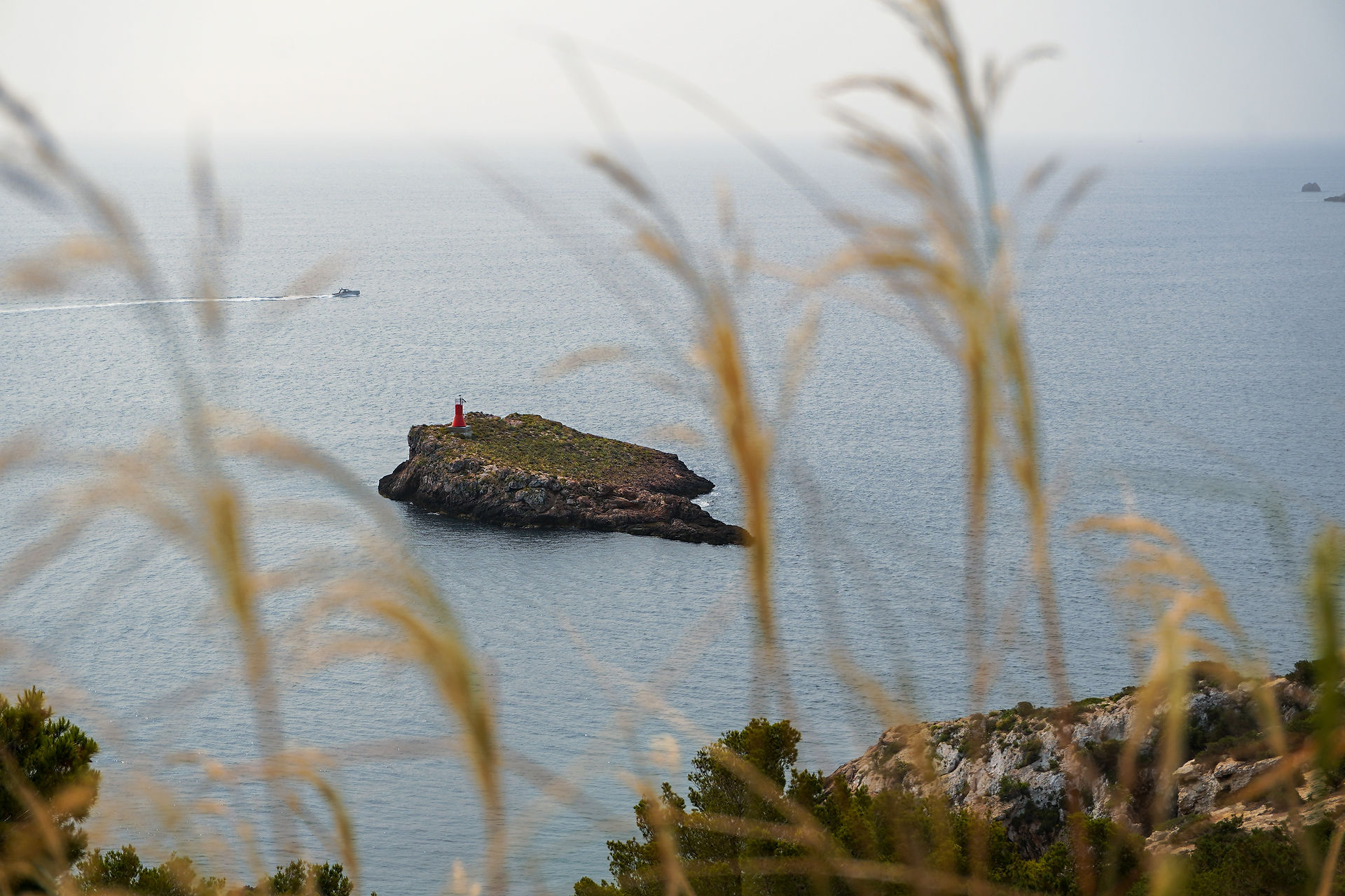 Little island through the high grass in Ibiza